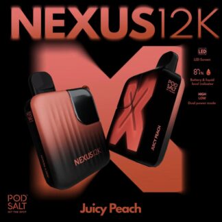 Disposable Nexus Pod Salt 12k Puffs
