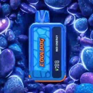 Disposable Cooldog 12000 Puffs
